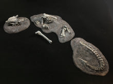 Load image into Gallery viewer, The Dragon Graveyard