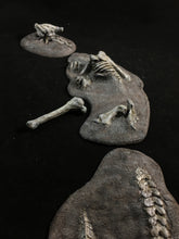 Load image into Gallery viewer, The Dragon Graveyard
