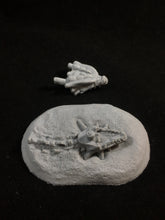 Load image into Gallery viewer, The Dragon Graveyard