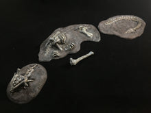 Load image into Gallery viewer, The Dragon Graveyard
