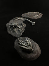 Load image into Gallery viewer, The Dragon Graveyard