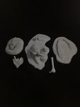 Load image into Gallery viewer, The Dragon Graveyard