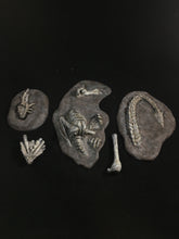 Load image into Gallery viewer, The Dragon Graveyard